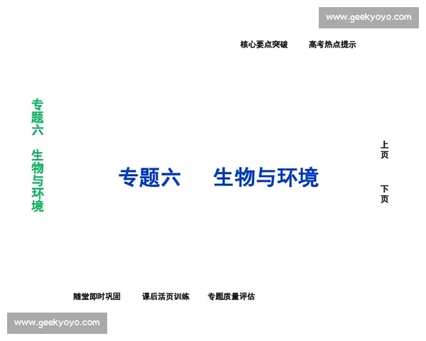 巅峰竞技状态下运动员表现与心理调整策略研究