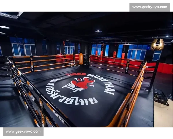 昔日综合格斗冠军重返擂台揭秘荣耀背后不为人知的血汗与坚持历程